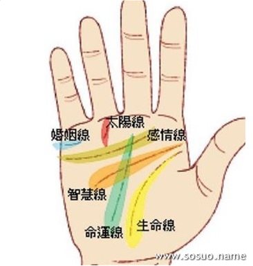三,婚姻线浅浅的,且线比较长