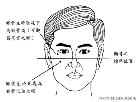 面相图解,颧骨面相