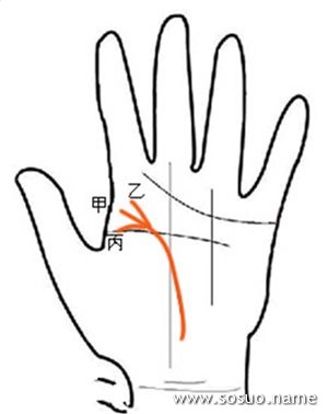 生命线起缘于大拇指与食指中心点(甲)的人