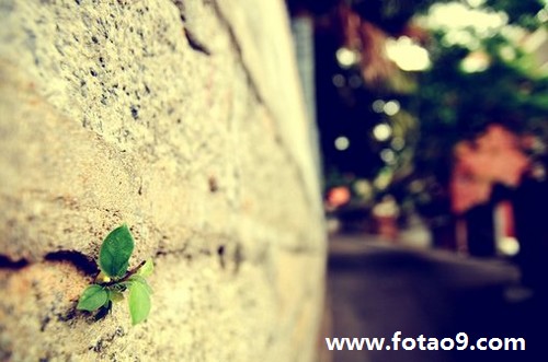 【每日一禅】请你珍惜,生命中的每一天