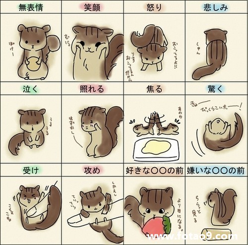 康熙字典在线查字