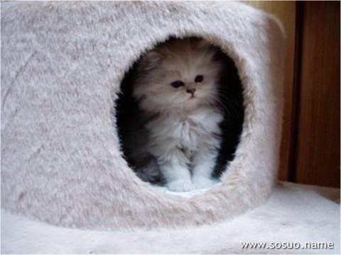 <em>梦见兄弟姐妹</em>在一起吃饭_周公解梦查询_佛滔