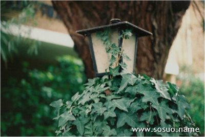 梦见自己的<em>女儿被骗</em>_周公解梦查询_佛滔算命