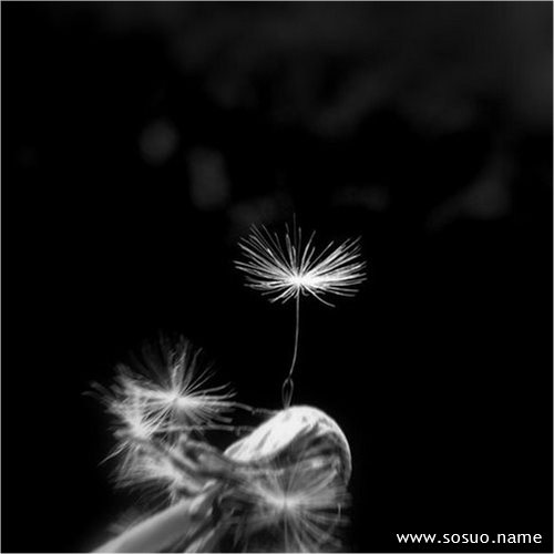 梦见坐火车坐过站了_周公解梦查询_佛滔算命