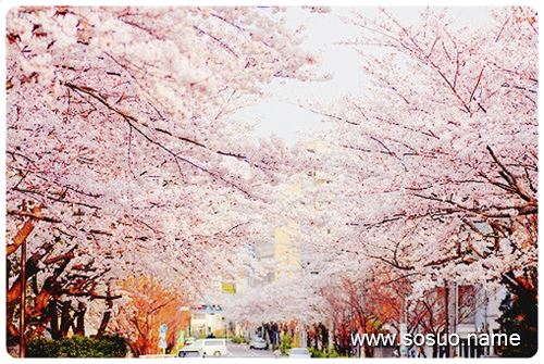 梦见煮鸡蛋水和锅掉地上