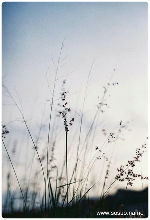 梦见<em>头发一把一把掉</em>的很多_周公解梦查询_佛