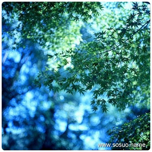 <em>梦见自己</em>没<em>穿</em>裤子上厕所_周公解梦查询_佛滔