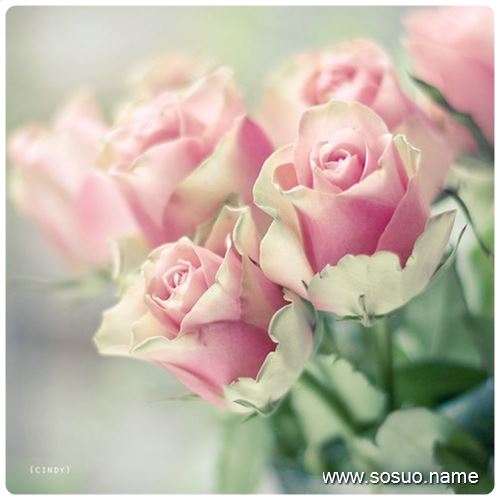 <em>梦见</em>担心丈夫<em>头发</em>掉落变成秃顶_周公解梦查询