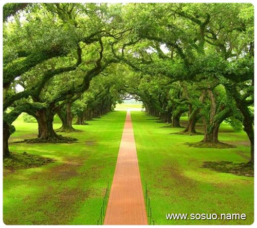 梦见男人帮我<em>洗头发</em>_周公解梦查询_佛滔算命