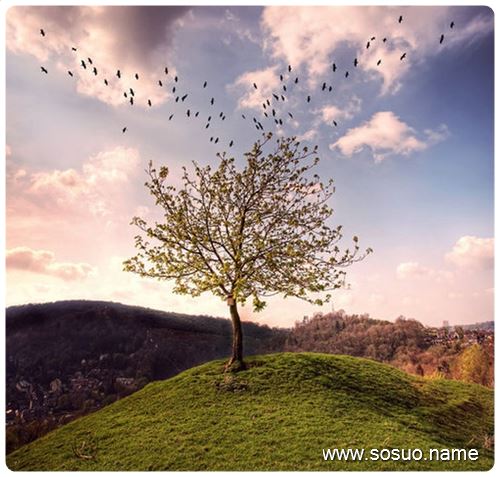 梦见老者给我批阅文件