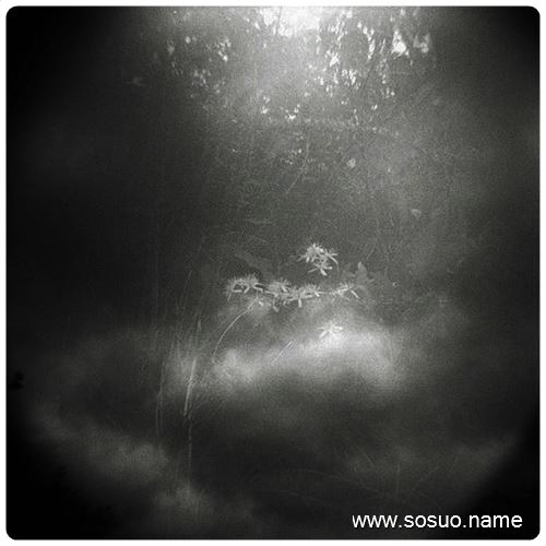 <em>梦见内裤上</em>沾<em>屎</em>_周公解梦查询_佛滔算命网