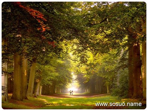 <em>梦见自己</em>捡到一个<em>内裤</em>_周公解梦查询_佛滔算