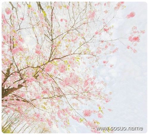 梦见和美女一起飞_周公解梦查询_佛滔算命网