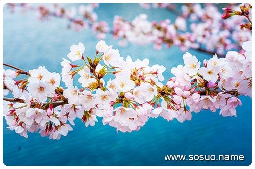 梦见我家房顶和别人的_周公解梦查询_佛滔算