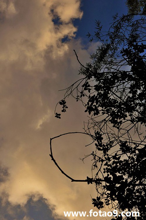 梦见打雷闪电房子里流大雨好不好?