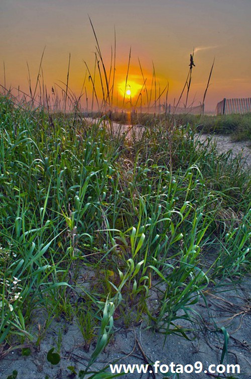 为什么我老是梦见一个人,白天也没想啊,可他就