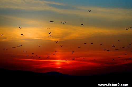 梦见妈妈得很严重的血液病的含义