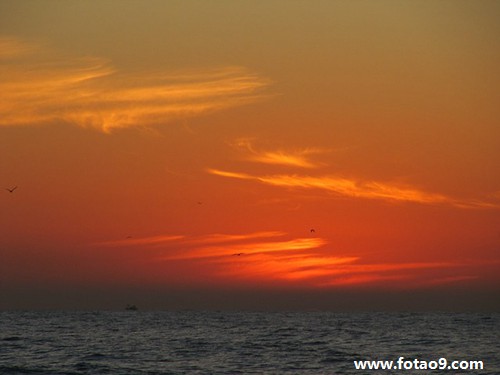 梦见我弟追杀我是什么意思?