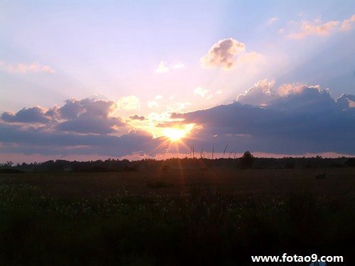 梦见一个帅哥男朋友还有蛇_周公解梦查询_佛