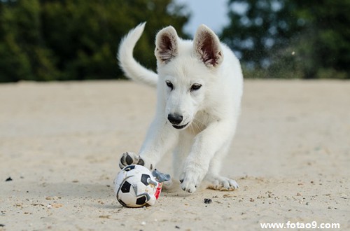 梦见自己考大学最后错过了