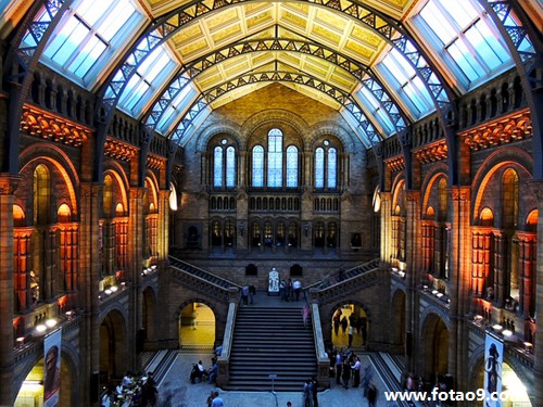 梦见稻谷和水沟还有妈的含义