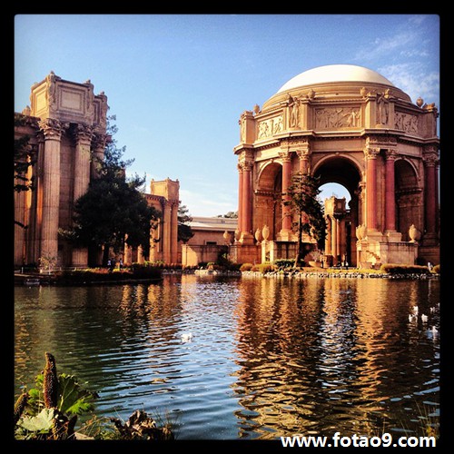 梦见手上长满鳖平油