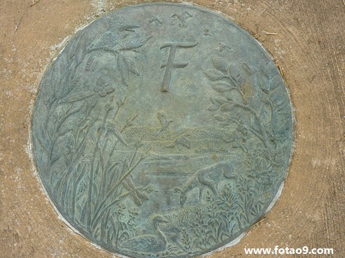 梦见剪膀胱毛是什么意思?