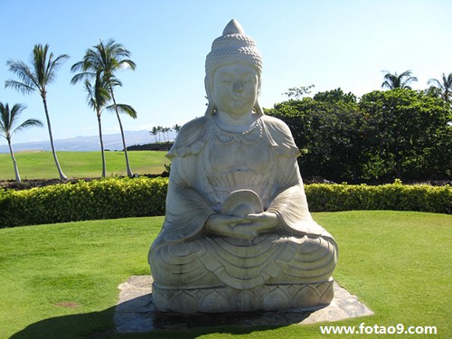 阳历2007年12月25日出生的男的命怎么样,命好