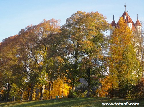 <em>梦见</em>上司送<em>文胸</em>没给我送_周公解梦查询_佛滔