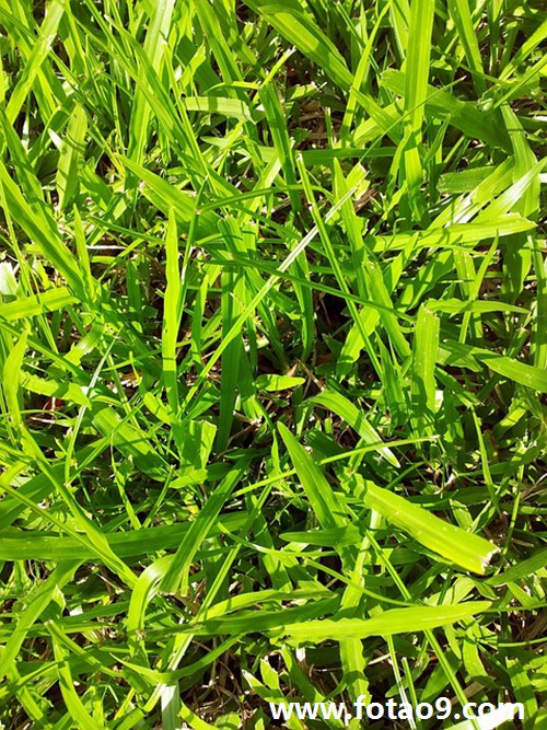 梦见睡觉生个男孩好不好?_周公解梦查询_佛滔