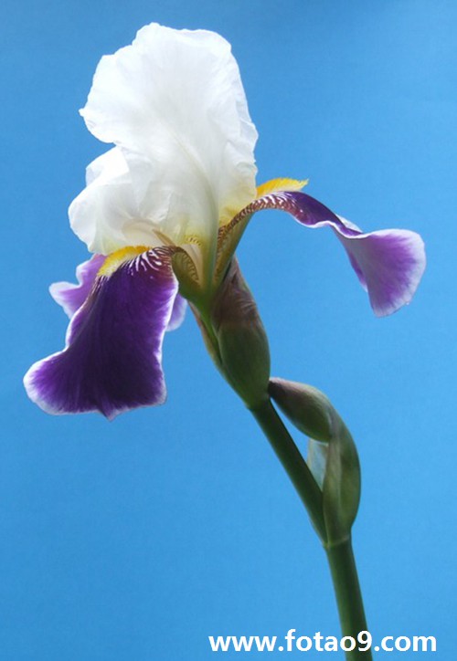 梦见被女人骂然后女人跑进庙里