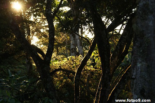 梦见男朋友把我肾取走