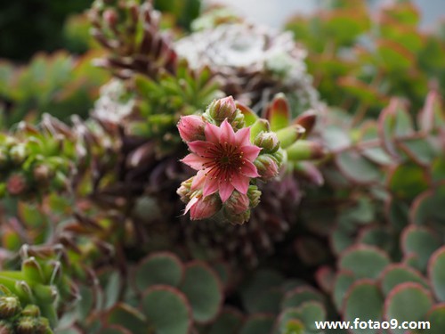 梦见父亲说去世的爷爷的含义