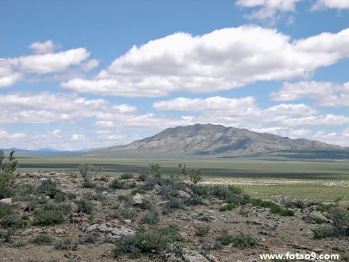 梦见同学炫耀有钱是怎么回事?_周公解梦查询