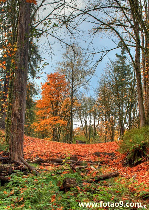 上有危险的含义_周公解梦查询_佛滔算命网