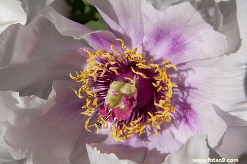 梦见邻居哥哥取汉民女人是怎么回事?_周公解