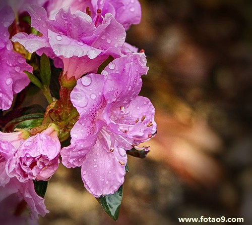 梦见前女友群交