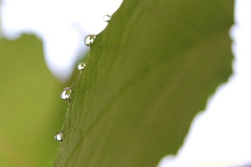 <em>梦见</em>喜欢上<em>理发师</em>好不好?_周公解梦查询_佛滔