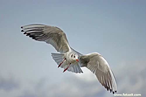 梦见穿白色长连衣裙是什么意思?