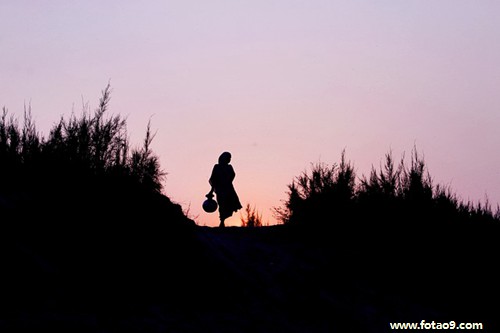 梦见从山上背柴回家的含义