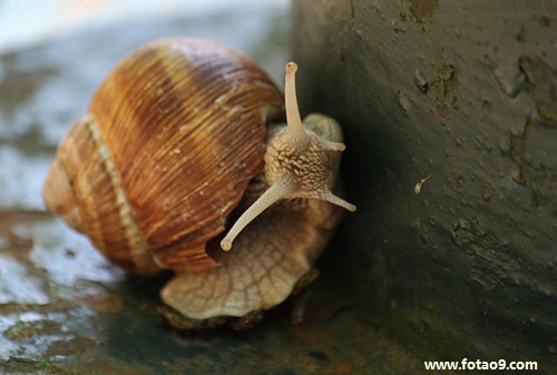 梦见起风打不羽毛球的含义