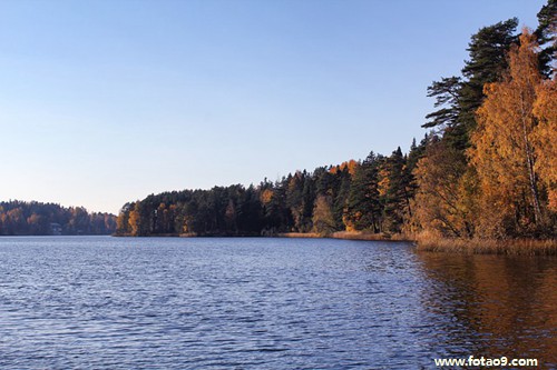 梦见老丈人家里亲戚去世下雨