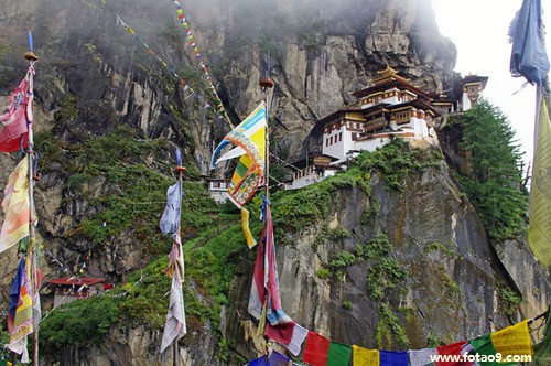 有没有五行属性含水和土的且寓意很好的名字和