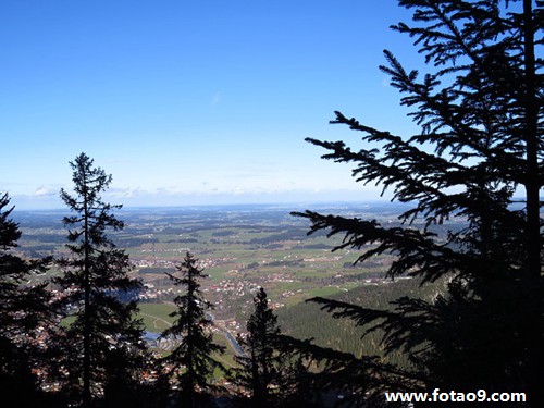 梦见梦有人放火烧山
