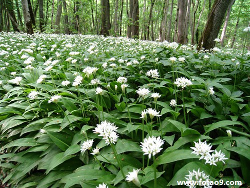 梦见房顶的土掉代表什么?_周公解梦查询_佛滔