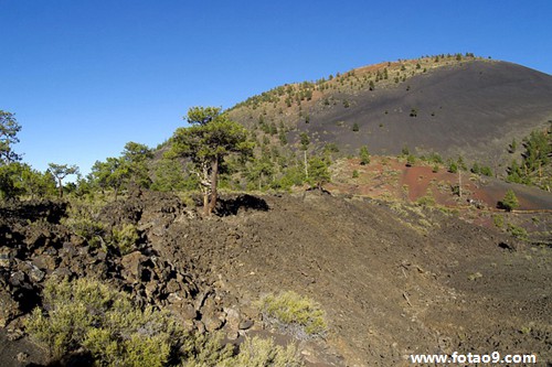 梦见<em>梦掉</em>很<em>头发</em>好不好?_周公解梦查询_佛滔算