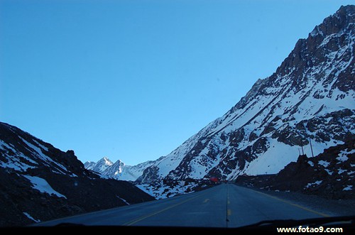 梦见邻居在给动物看病做手术好不好?_周公解