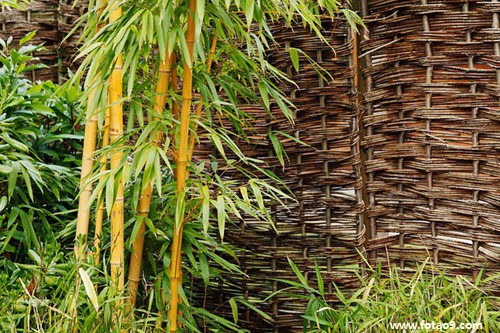 请问我梦见大火烧房是怎么了