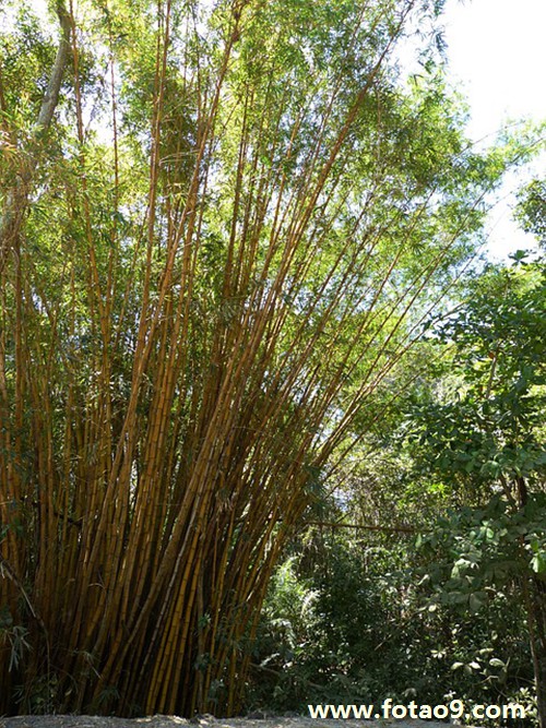 梦见衣服上写姓名的含义