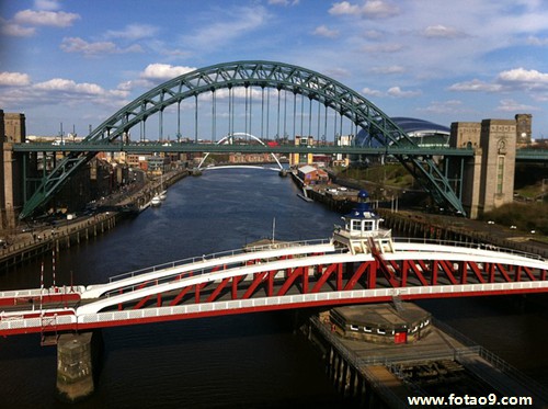 梦见他人头上长瘤子的含义